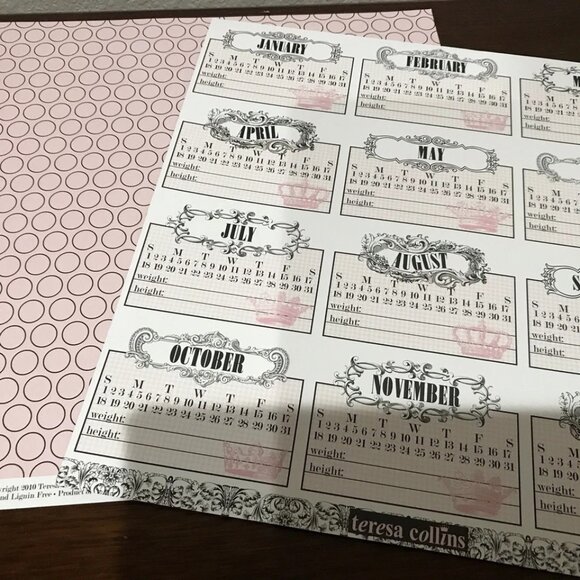 Teresa Collin’s Chic Be’Be’ Girl Scrapbook Items Vintage 2010 Sealed with Extras - Picture 8 of 16